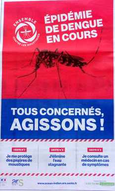 26 mai 2019 - St-Pierre - Fête des mères et élections européennes - Epidémie de dengue en cours (pub ARS)