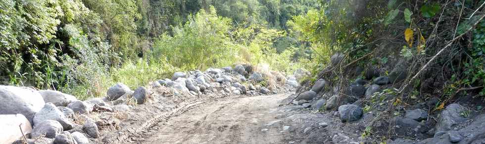 7 juillet 2019 -Remonte de la piste dans le Bras de la Plaine -