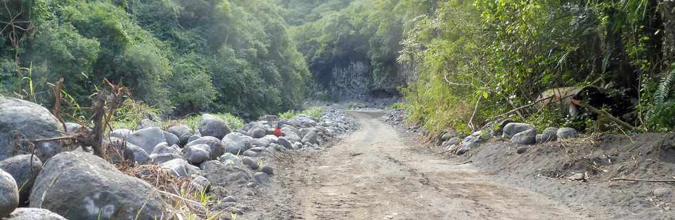 7 juillet 2019 -Remonte de la piste dans le Bras de la Plaine -