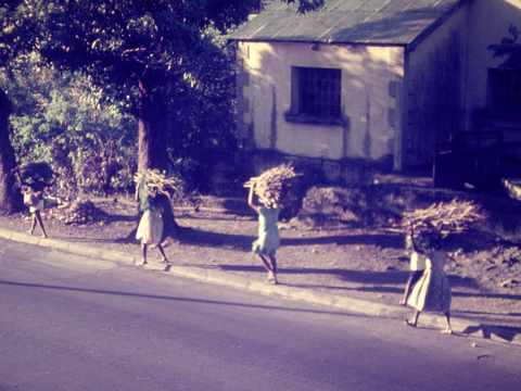 La Runion, dans les annes (19)70 -  Corve de bois