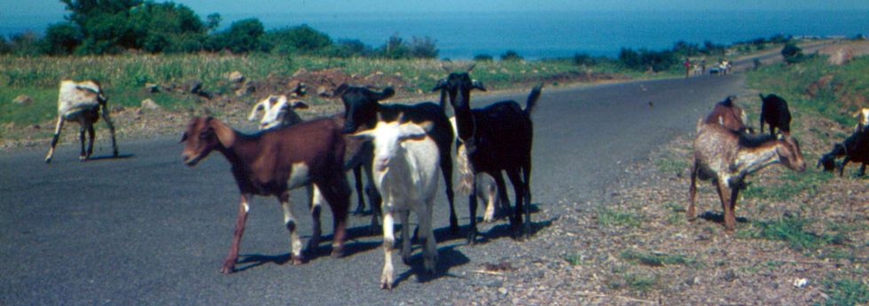 1970 - Cabris sur la route