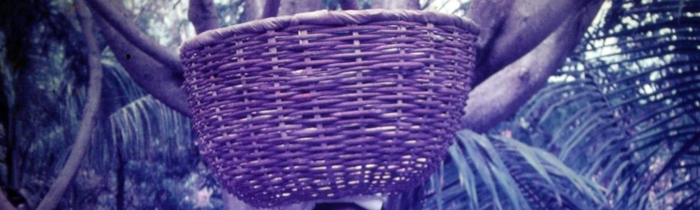 1970- Panier sur la t�te