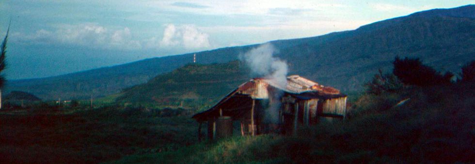 1970 -Gr�ranium au Tampon