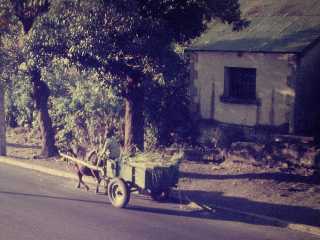 Ancien moulin  mas, route nationale St-Louis (1971)