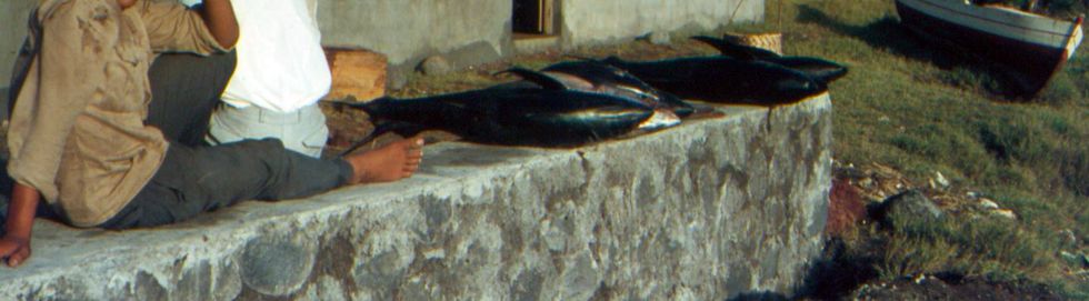 1970- P�cheurs � Etang-Sal� les bains