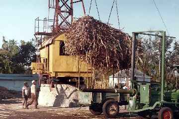 Pierrefonds dans les années 1980 -  Déchargement d'une charrette de cannes