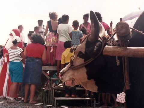 La Réunion, dans les années (19)80 - Père Noël en charrette boeuf à Pierrefonds