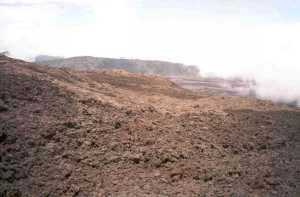 Vers les Grandes Pentes et rempart nord de l'Enclos