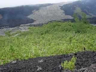 Piton de la Fournaise