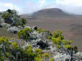 Piton Chisny et Plaine des Sables