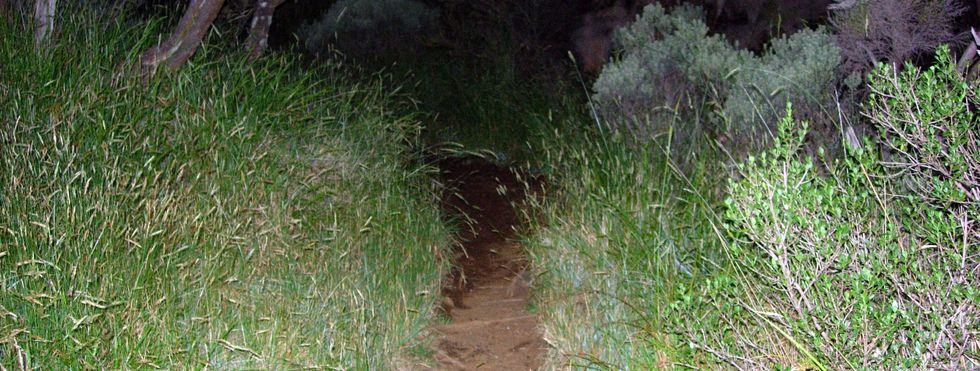 Sentier du Nez Coup� de Ste-Rose