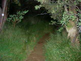 Sentier du Nez Coup de Ste-Rose