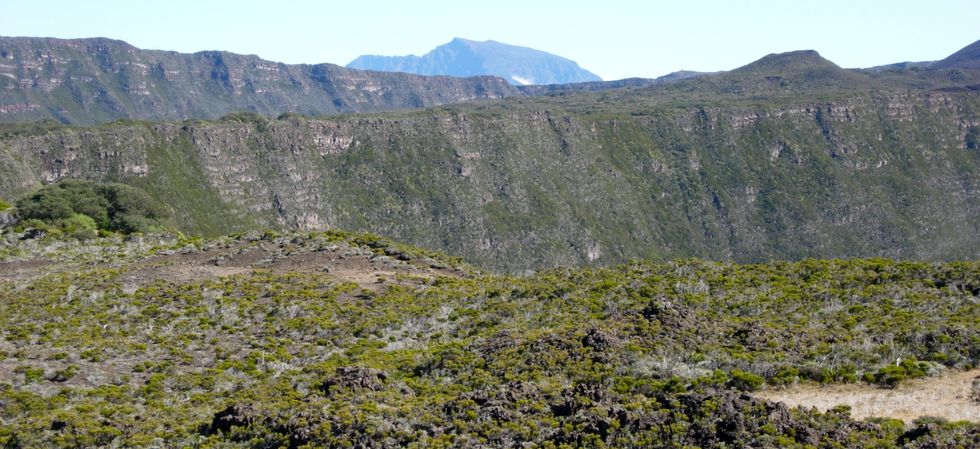 Vue haut du Piton de Bert , vers le Piton des Neiges