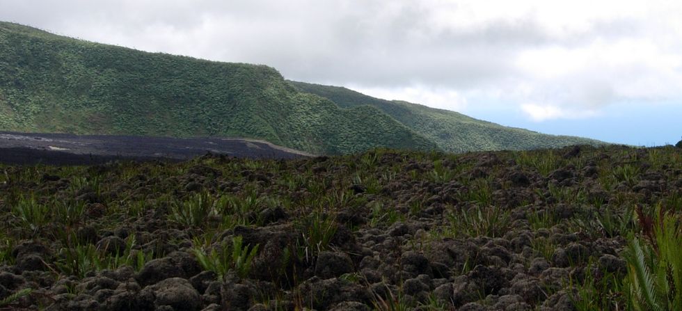 Piton de Jouvancourt -Plaine des Osmondes