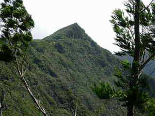 Nez de Boeuf