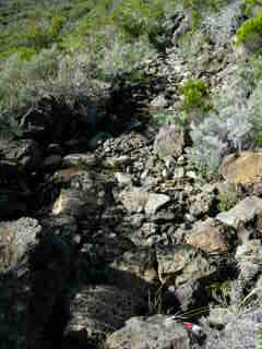 Sentier vers la Plaine des Sables