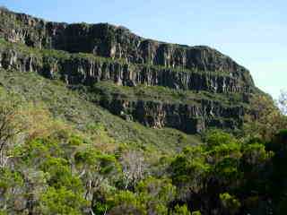 Orgues volcaniques