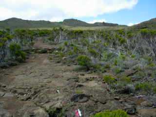 Piton des Basaltes