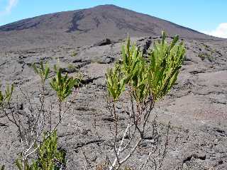 Piton de la Fournaise