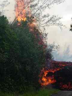 Feu de joie