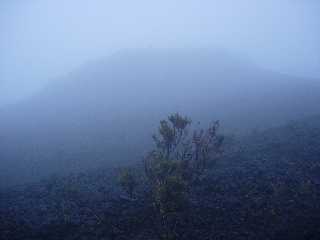 Piton de l'Eau - sentier du Tremblet