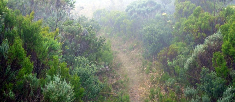 Sentier Nez Coup� du Tremblet