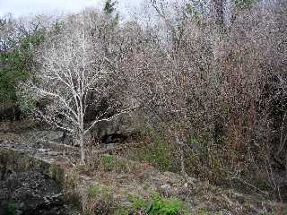 Ravine Pont Rouge