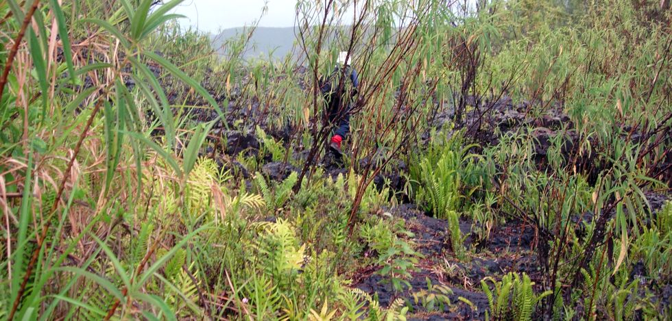 Coul�e 98 -Piton de la Fournaise