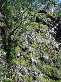 Ravine Pont Rouge