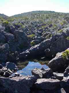 Ravine Creuse