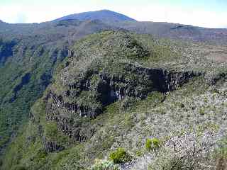 Cass vers la Savane du Rond