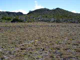 Plateau des Basaltes