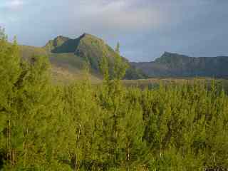 Piton de Crac et Nez Coup de Ste-Rose