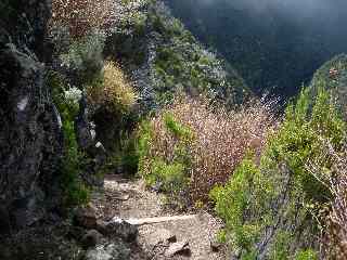 Descente dans la valle de la rivire des Remparts