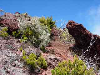 Monte au sommet du Nez de Boeuf