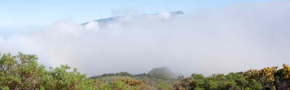 Grand Bnare au-dessus des nuages