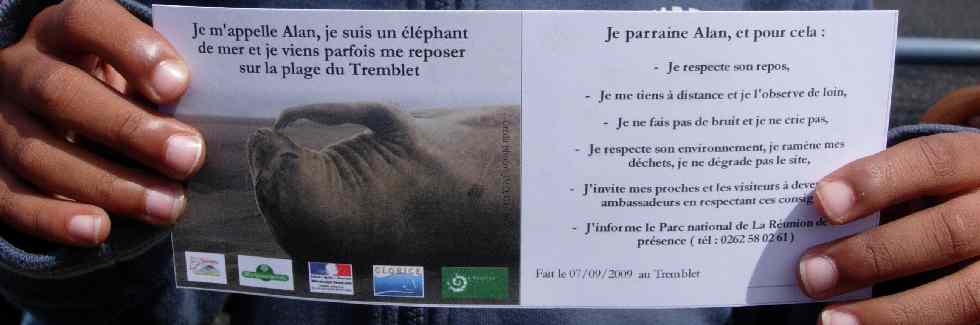 Parrainage d'Alan, l'lphant de mer de la plage du Tremblet