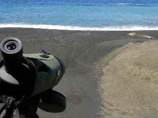 Lunette sur la plage du Tremblet