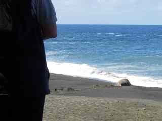 Plage du Tremblet