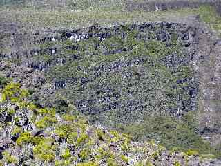 Cass de la Plaine des Sables