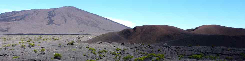 Piton de la Fournaise et Formica Lo