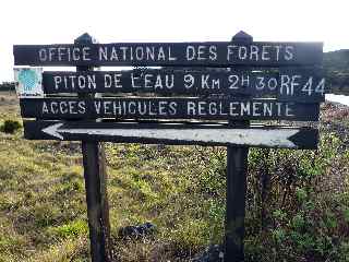 Route forestière 44 du Piton de l'Eau