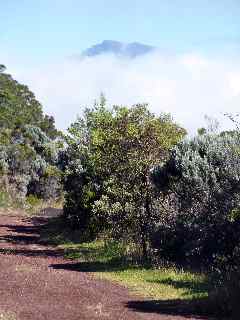 Piton des Neiges