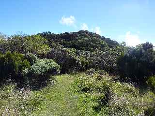 Sentier du Piton de l'Eau