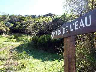 Au pied du Piton de l'Eau