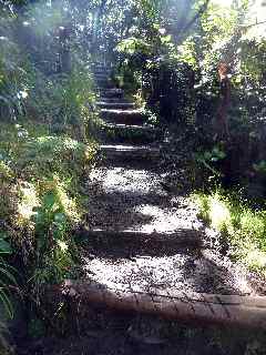 Escalier vers le lac du Piton de l'Eau