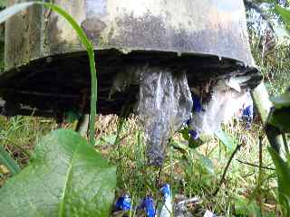 Poubelle du Piton de l'Eau