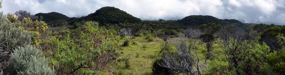 Piton des Cochons, Piton Brdes et Piton de l'Eau