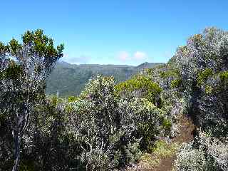 Au loin, la Plaine des Sables