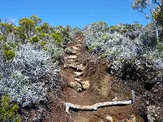 Sentier du Piton de la Rivire de l'Est